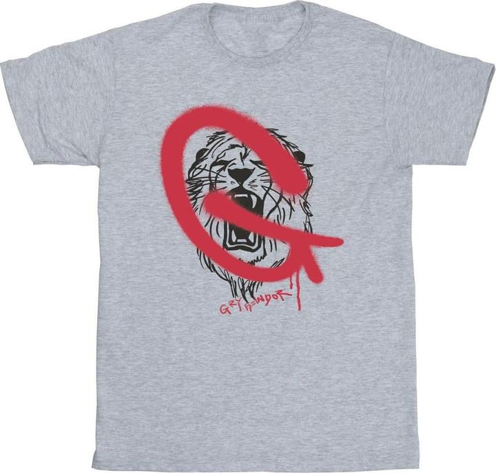 Gryffindor Pop Spray TShirt Jungen