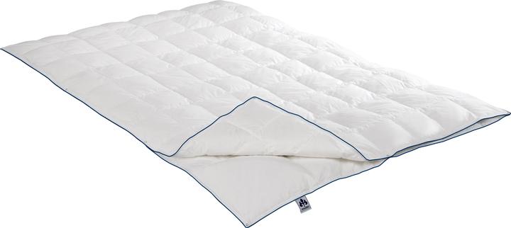 Produktbild Irisette 4-Jahreszeiten-Daunendecke Luna (230 g, 155 x 200 cm)