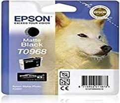 Actual product image Epson T0968 (FC)
