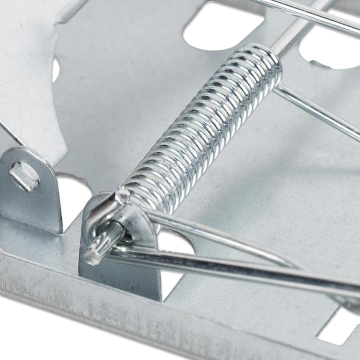 Actual product image Relaxdays Rat Trap, Pack of 4