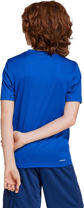 Actual product image adidas Train Essentials Logo (164)