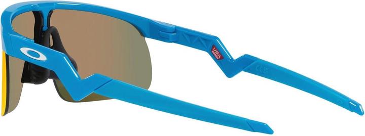 Actual product image Oakley Resistor (Blue, prizm ruby)
