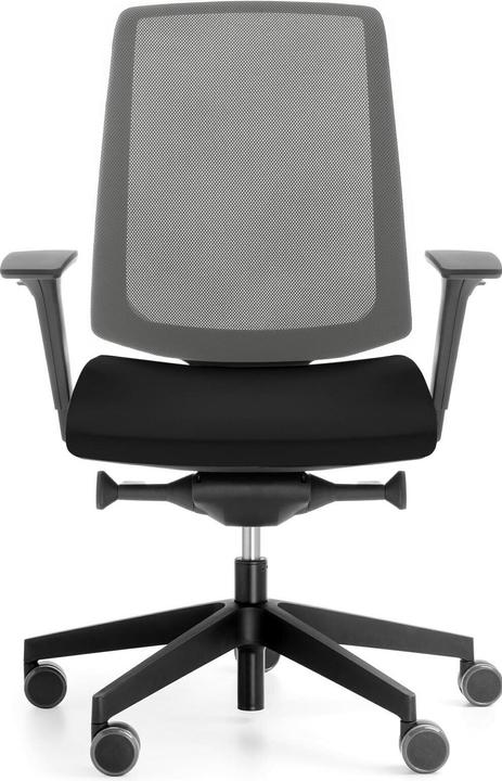 Profim Office Chair LightUp 250S with Mesh Back Dark Grey