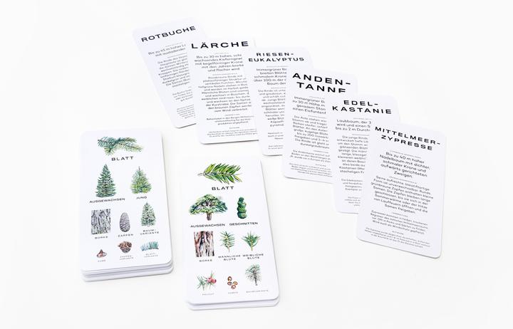Actual product image 441678 - Baum-Wissen - Card game, 1+ players, ages 8+ (DE edition) (German)