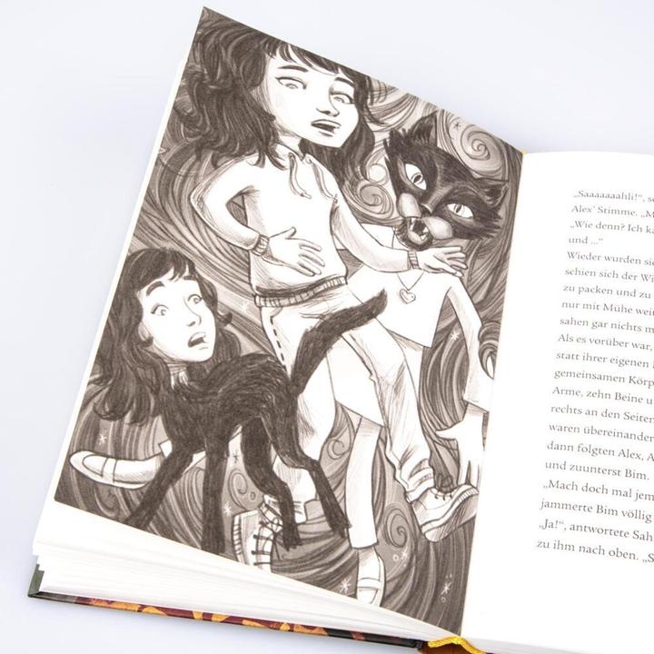 Produktbild Im Zeichen der Zauberkugel 6: Die Macht des magischen Zirkels (Deutsch, Stefan Gemmel, Katharina Madesta, 2020)