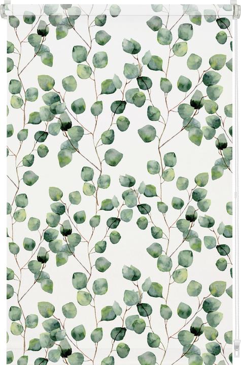 Produktbild Gardinia EASYFIX Rollo Digiprint Isabella (80 x 150 cm)
