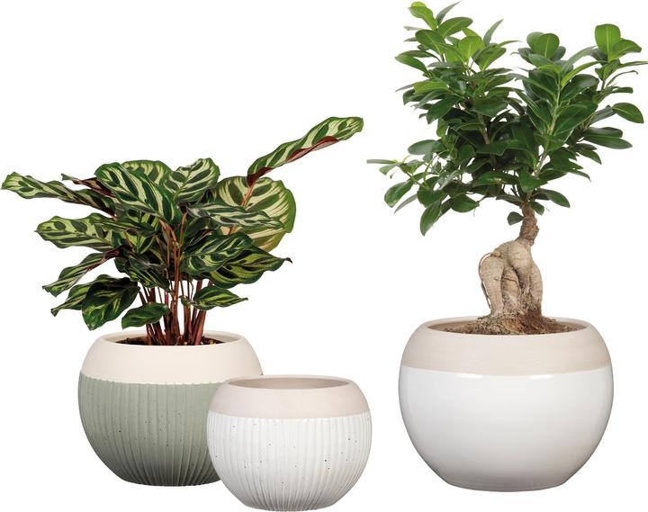 Produktbild Scheurich Blumentopf Blanco 718, 12.3 cm, Weiss, Detailfarbe: Beige (12.30 cm)