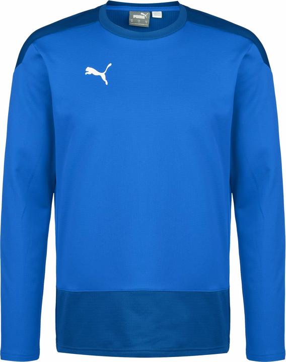 Actual product image Puma teamGOAL 23 training sweat men (XXL)