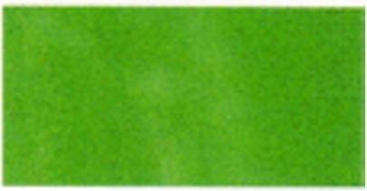 Immagine prodotto Rohrer Succo di inchiostro lightfast verde