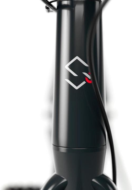 Produktbild Sharp E-Bike RS08E-S Schwarz, Altersempfehlung ab: 12