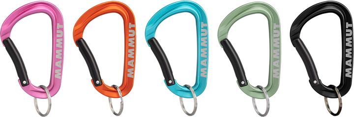 Actual product image Mammut Mini Carabiner Workhorse Keylock L