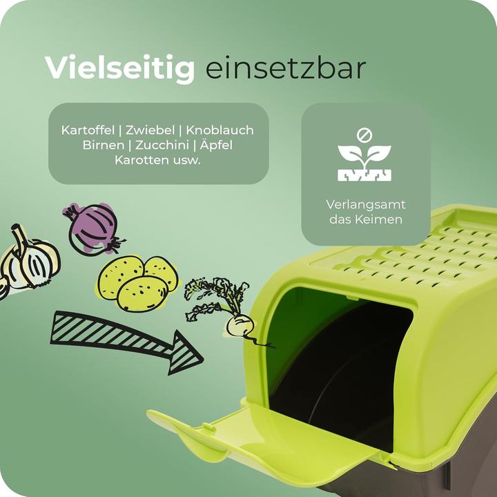 Actual product image Novaliv Vegetable Box Set, Green (29 x 20 x 14 cm, 9 l)