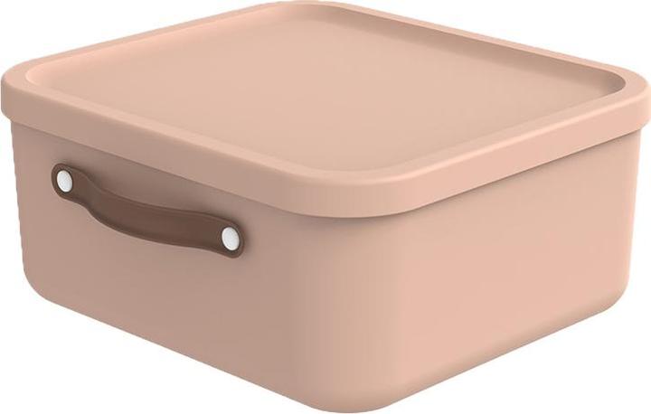 Actual product image Rotho Storage box Maloja 20 l, Meadow Rose (20 l)