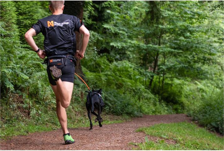 Actual product image Non-Stop Dogwear Bungee (M, Dog, Jogging)