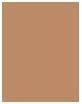 Actual product image Rimmel London Kind & Free Glow It Up Moisturising Skin Tint (210 Golden Beige)