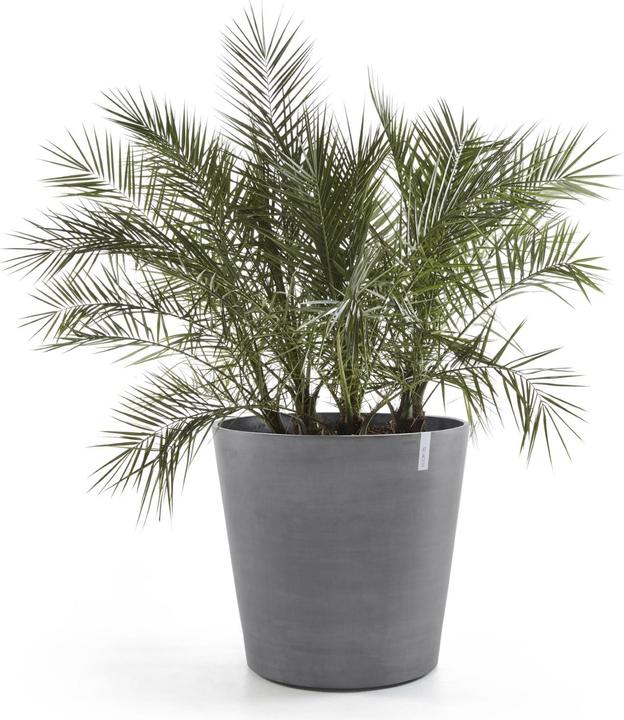 Produktbild Ecopots Amsterdam Wheels (60 cm)