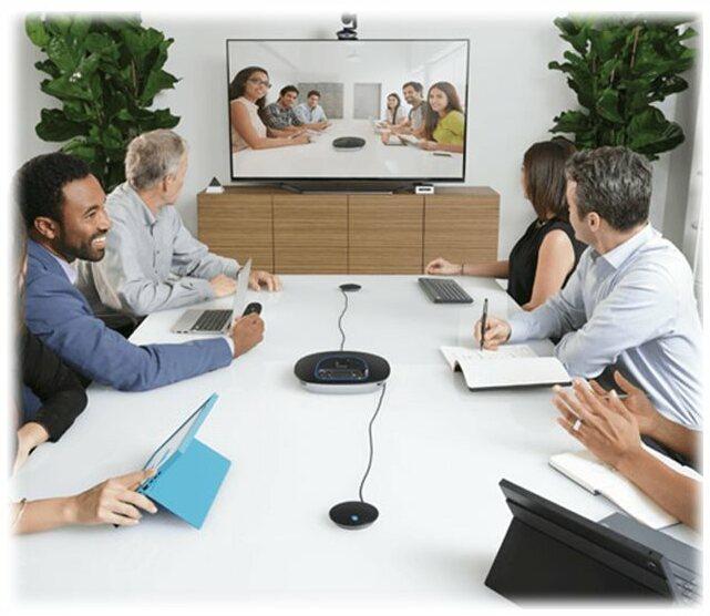 Image du produit Logitech Expansion Mics