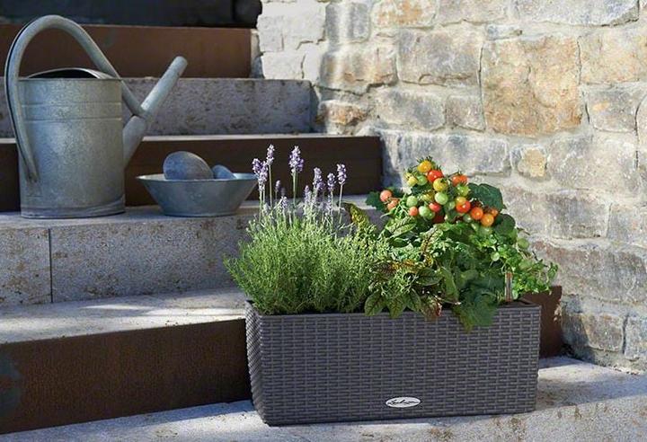 Produktbild Lechuza Balconera Cottage (19 cm)