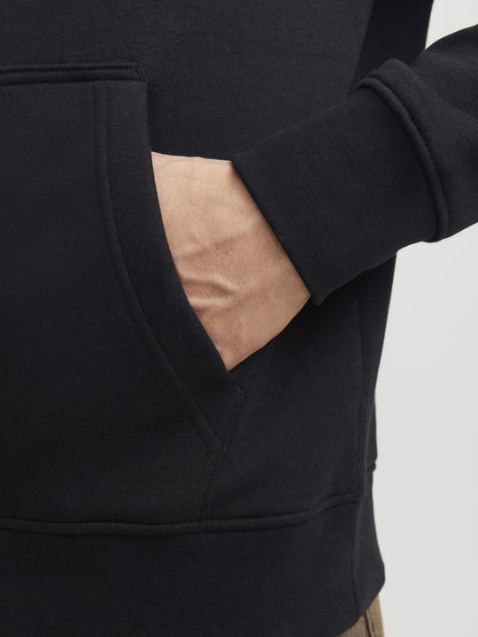 Actual product image Jack & Jones Jorvesterbro Block Sweat Hood Styd Aw24 (M)