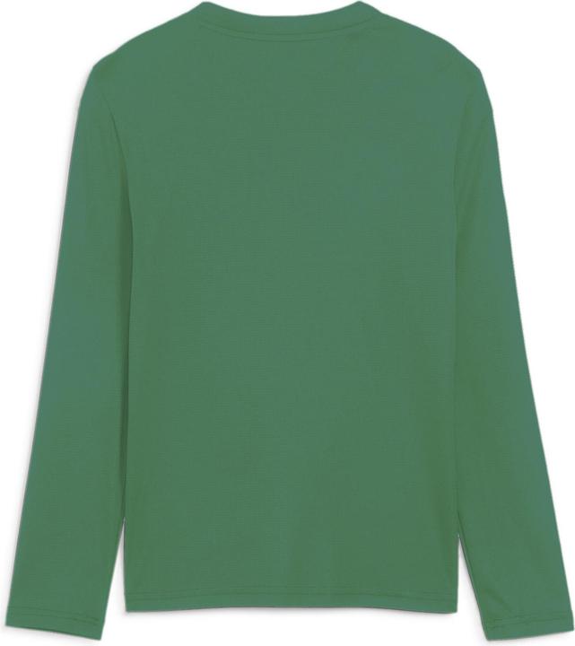 Actual product image Puma teamGOAL Baselayer Tee LS Jr. (176)