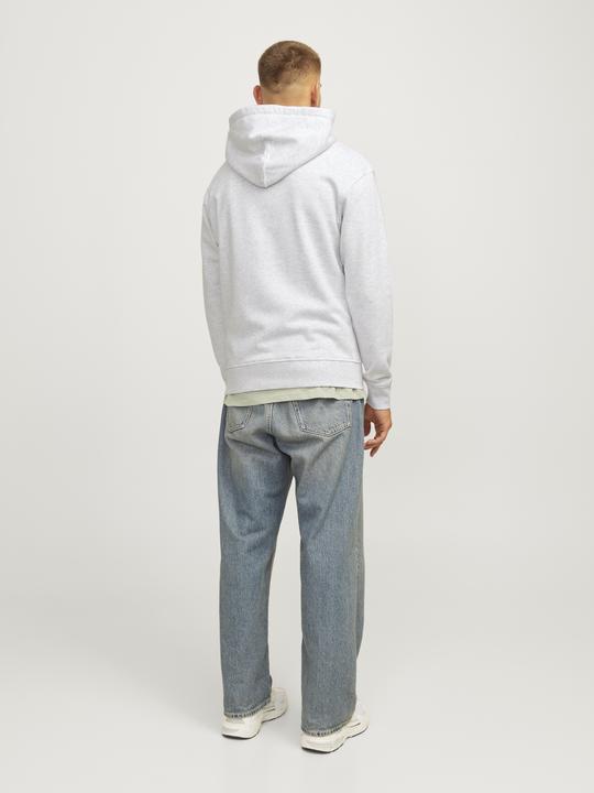 Actual product image Jack & Jones Jorportland Block Sweat Hood Ln (S)