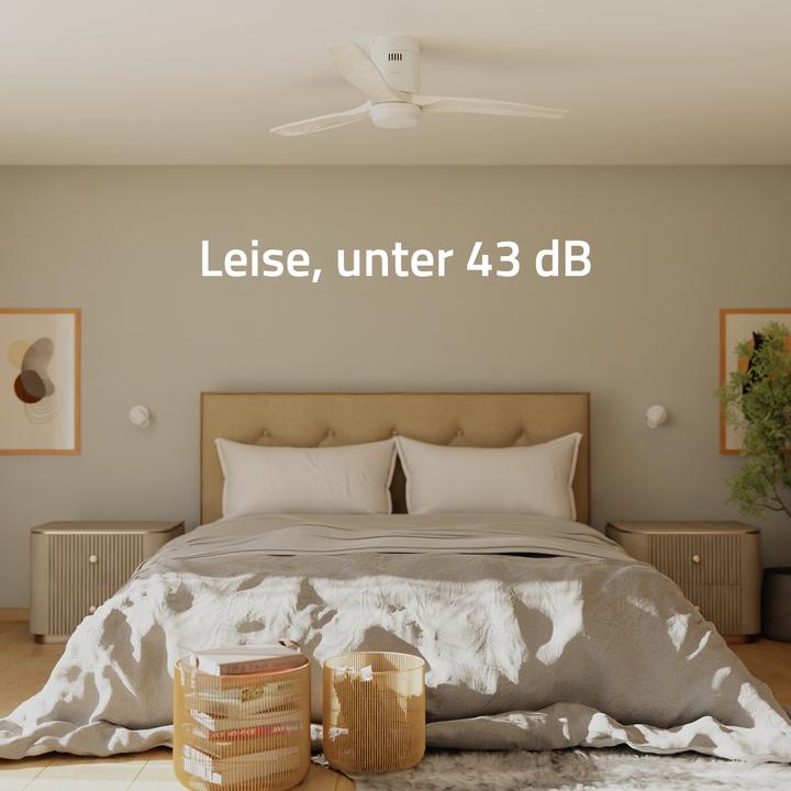 Actual product image Hombli Deckenventilator mit Licht (43 dB)