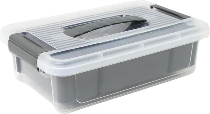 Actual product image Hobby Aufbewahrungsbox Organizer Multibox Behälter Vorratsbox (3 l)