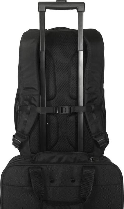 Produktbild Targus Notebook Rucksack 15-16"TBB65 black,Work+,38,10cm-40,64cm (23 l)