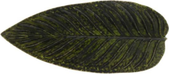 Actual product image Costa Nova Riviera (1 x, 17.20 cm)
