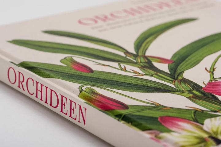 Produktbild Orchideen (Deutsch, Sandra Knapp, 2022)