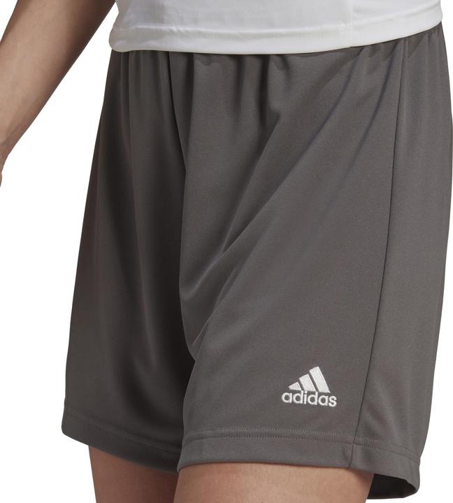 Actual product image adidas Ladies Shorts Entrada 22 grey HH9995 (XL) (XL)
