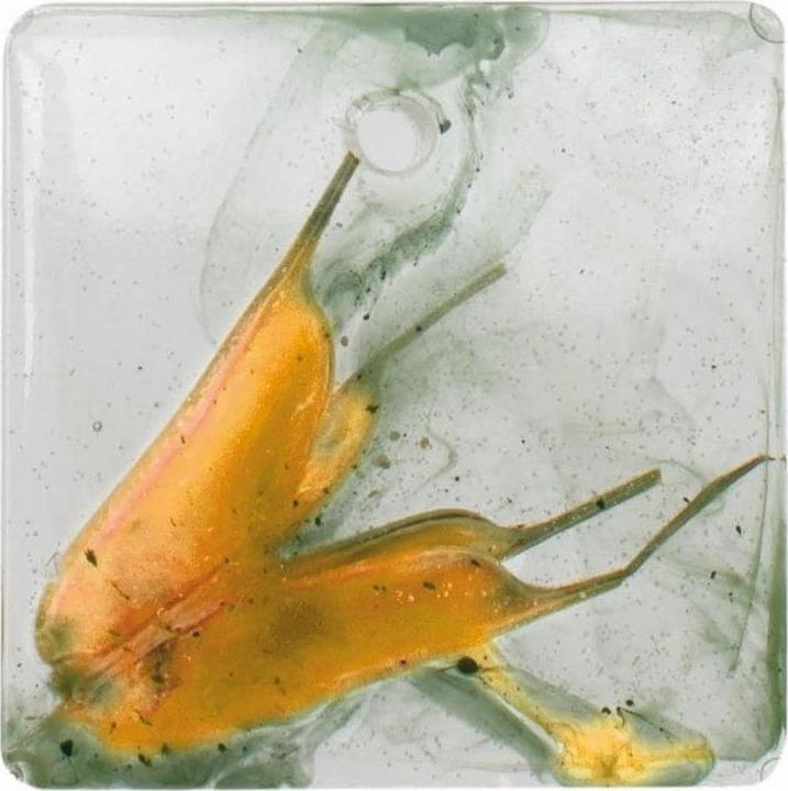 Produktbild Glorex Form aus Silikon 15.5 x 11.5 cm, 12-teilig, Anhänger