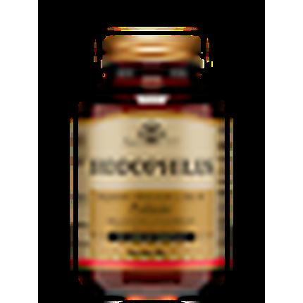 Actual product image Solgar Lacto Bifido Complex (new) Caps (60 Piece, Capsules, 108 g)