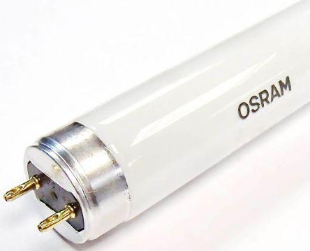 Actual product image Osram Lena (G13, 36 W, 3350 lm, 1 x, B)