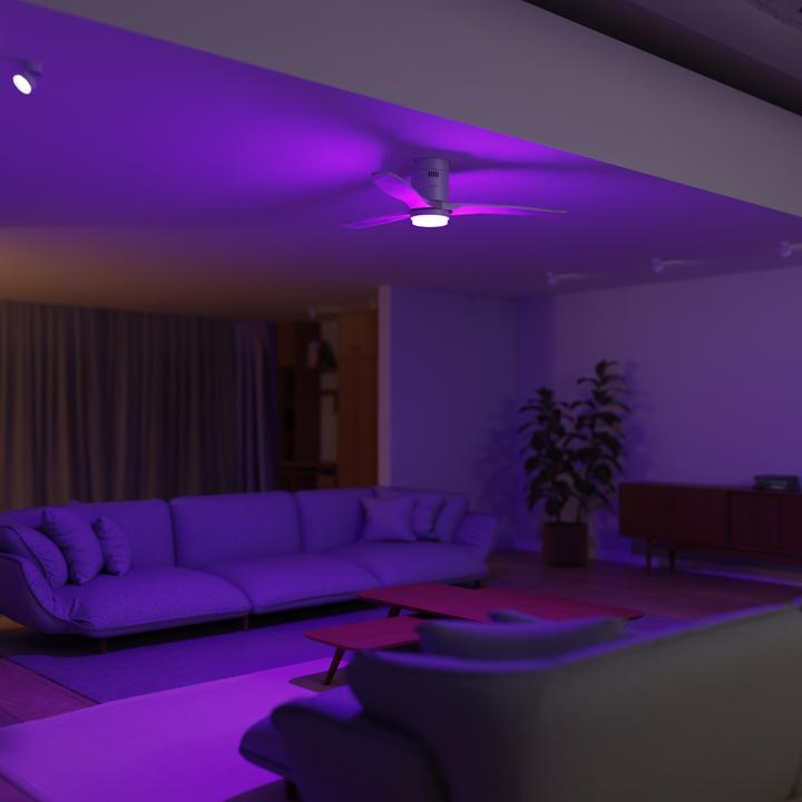 Actual product image Hombli Deckenventilator mit Licht (43 dB)