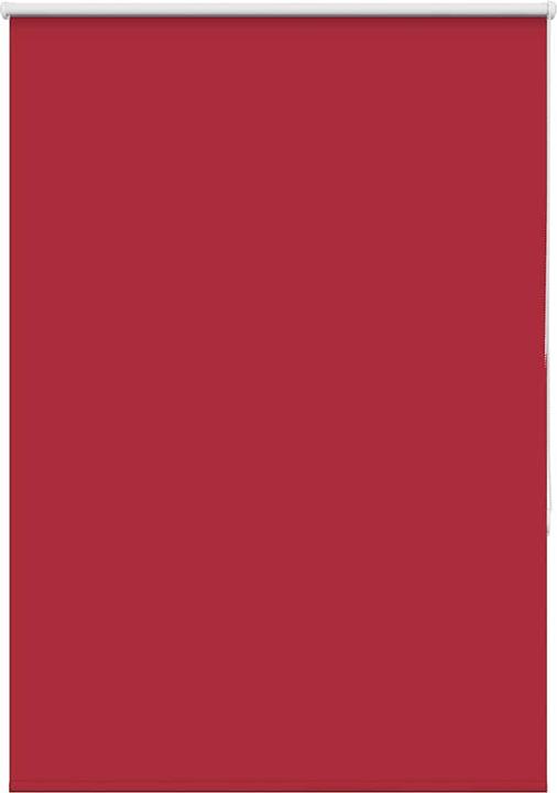 Rot