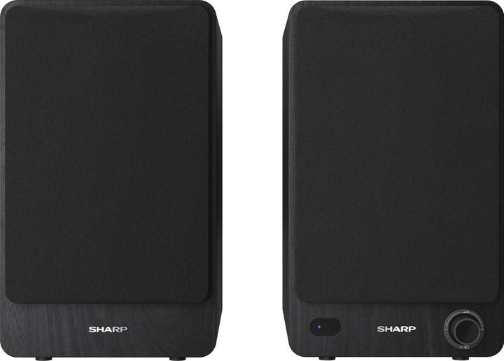 Sharp CP-SS30 (1 paire, 60 W)