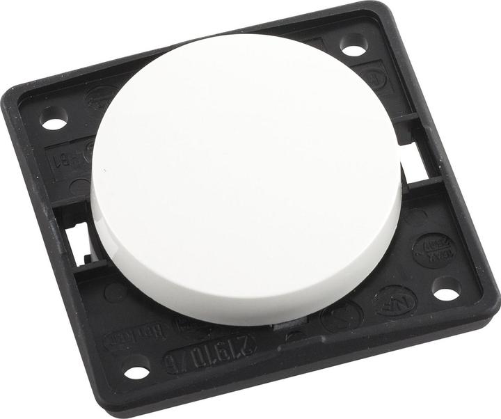 Actual product image Berker Rocker switch