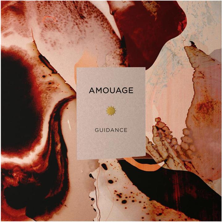 Produktbild Amouage Guidance (Eau de Parfum, 100 ml)
