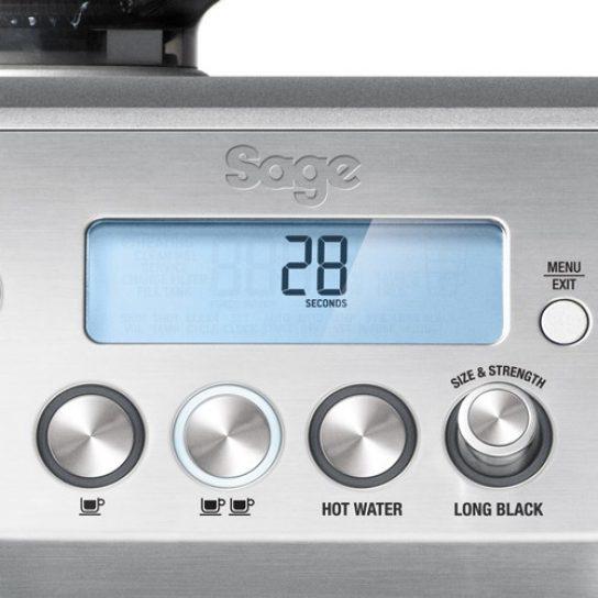 Actual product image Sage the Oracle
