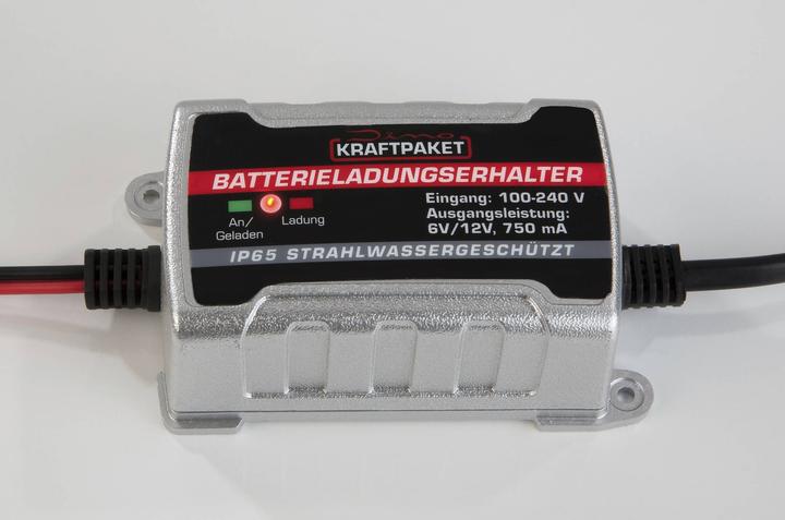 Produktbild Dino Automatikladegerät (6V, 12V, 0.75 A)