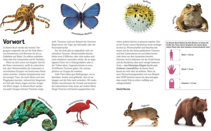 Immagine prodotto Tiere (Tedesco, David Bernie, 2015)