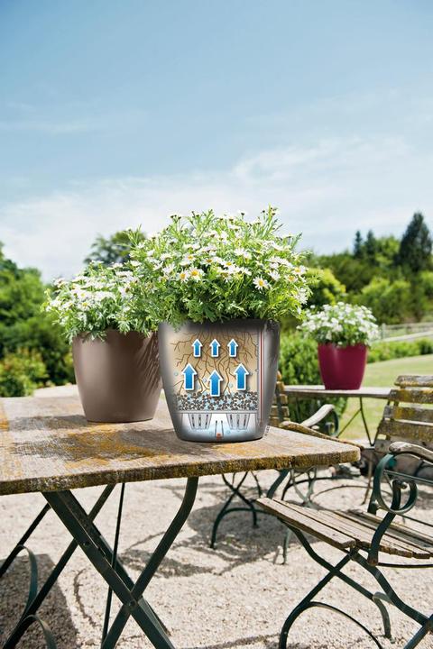 Actual product image Lechuza Classico Color (27.50 cm)