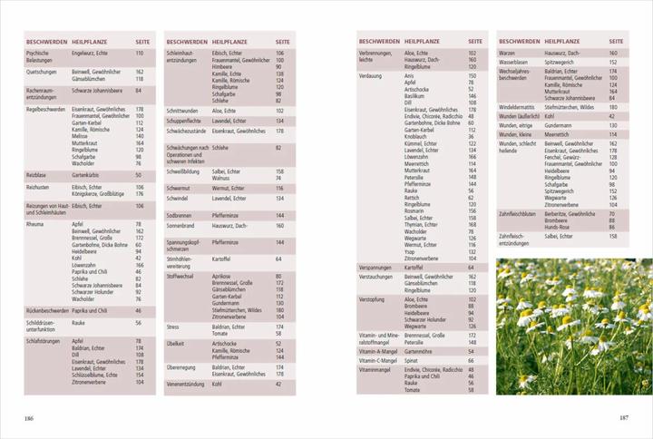 Produktbild Meine Gartenapotheke. Heilen und gesund leben mit Gemüse, Obst und Kräutern aus dem eigenen G (Deutsch, Gabriele Bickel, 2023)