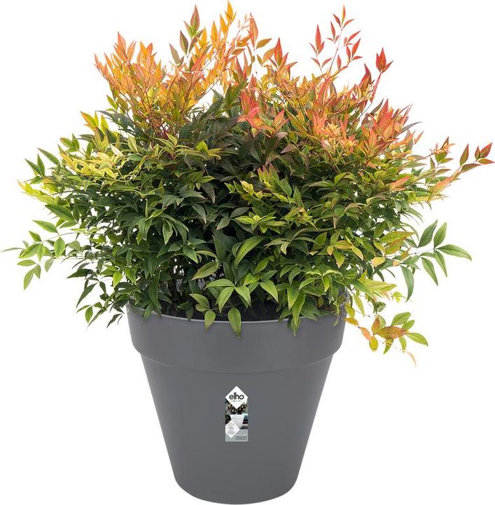 Actual product image Elho Loft Urban (38.50 cm)