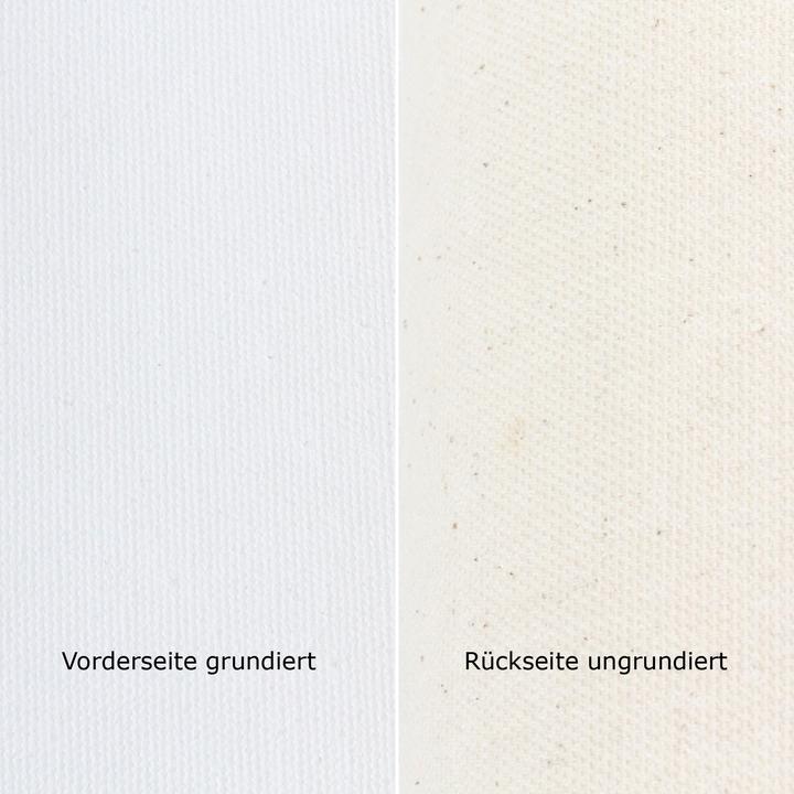 Actual product image Paintersisters Canvas on roll 1.6x25 meters