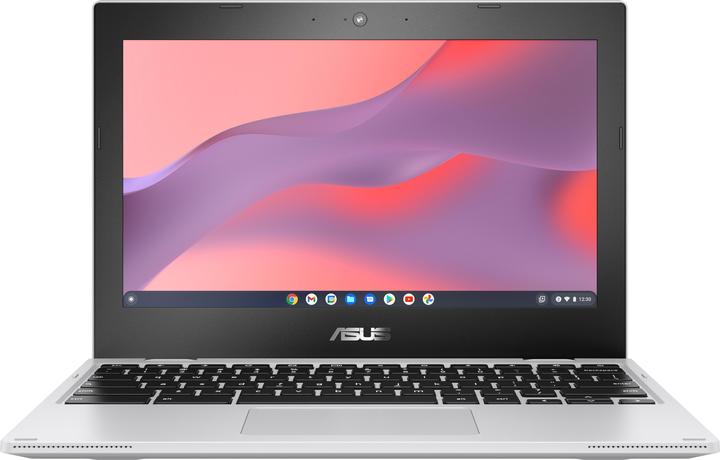 Produktbild ASUS Chromebook CX1700CKA-AU0101, transparent silver (17.30", Intel Celeron N4500, 8 GB, DE)