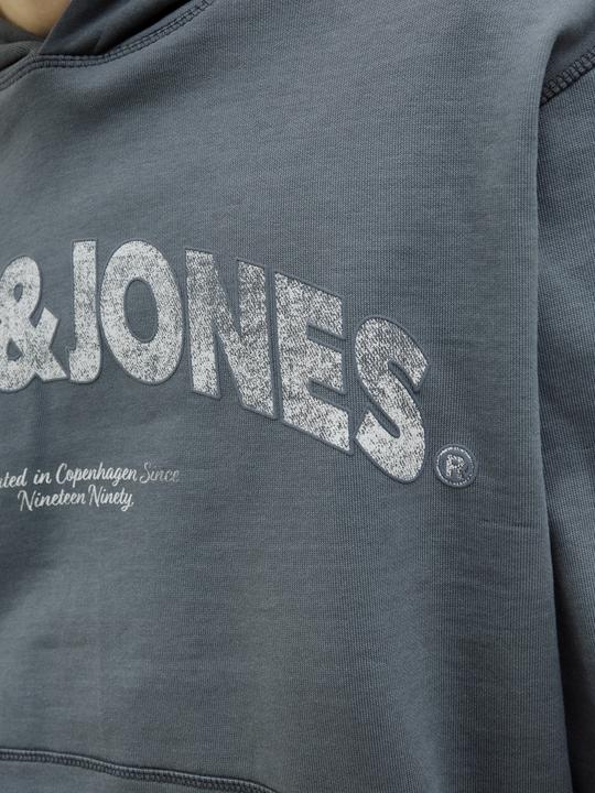 Image du produit Jack & Jones Logo Kapuzenpullover Kapuzenpullover (M)