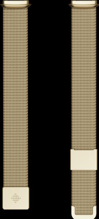 Actual product image Fitbit Luxe stainless steel bracelet (Stainless steel)
