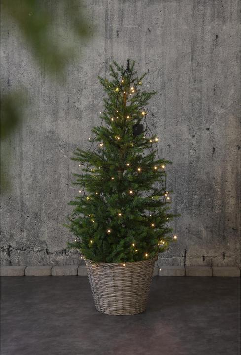 Image du produit Star Trading Guirlande lumineuse (4.70 m)